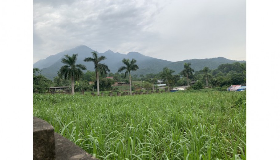 BÁN ĐẤT VÂN HÒA BA VÌ LÔ GÓC 1850M GIÁ CHỈ 1,XTR/M VUÔNG VẮN VIEW CAO THOÁNG.